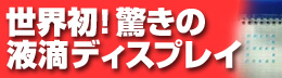 ���E���I�����̉t�H�f�B�X�v���C