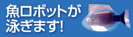 �������{�b�g���j���܂�